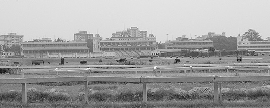 Race Course Kolkata City Tours Race Course Kolkata City Tours